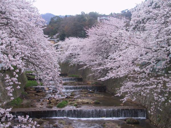 Kadonobo Ryokan كوبه المظهر الخارجي الصورة